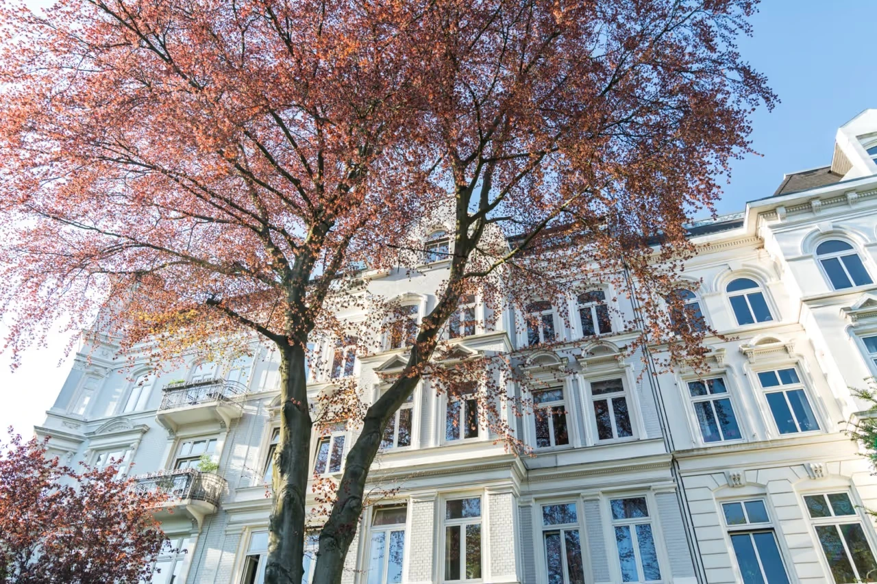 Immobilien mit Sachverstand - Immobilienberatung - Weiße Fassade von schönem Altbau Mehrfamilienhaus